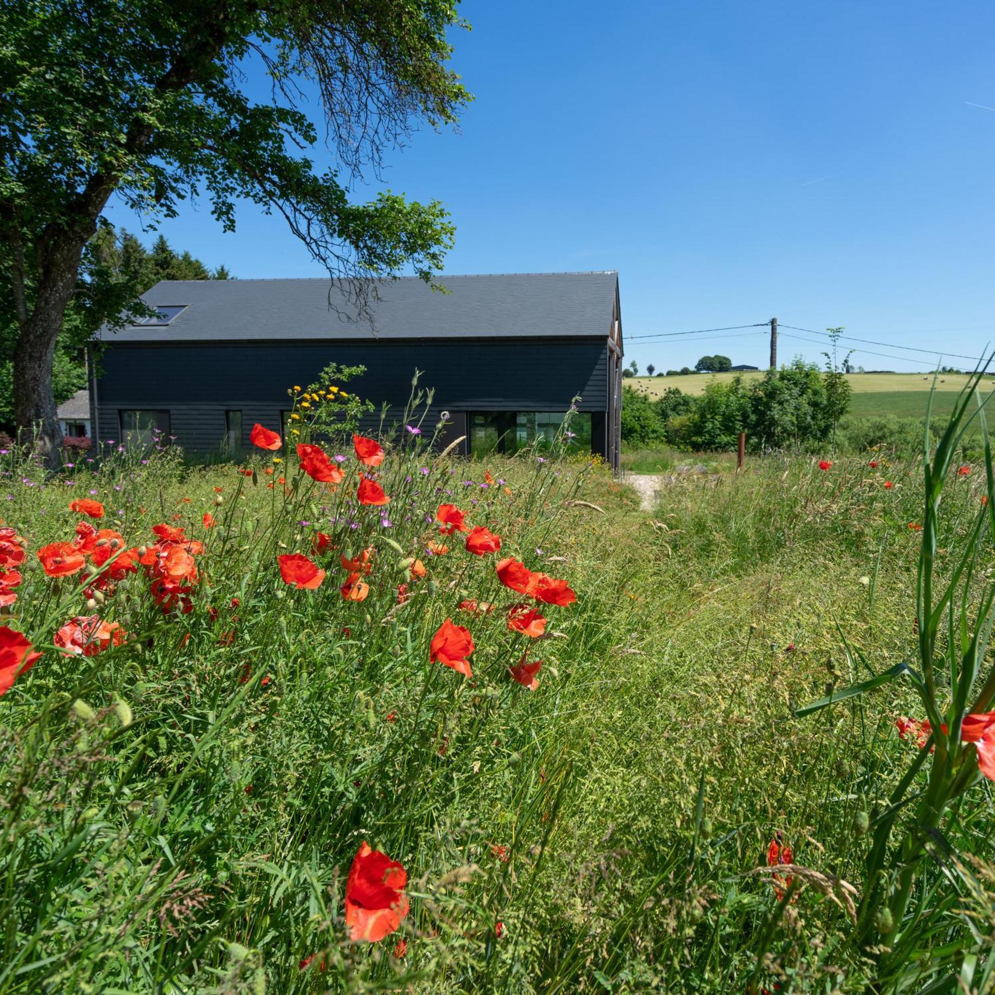 Villa Arduenna Silva Ecologic Designer House